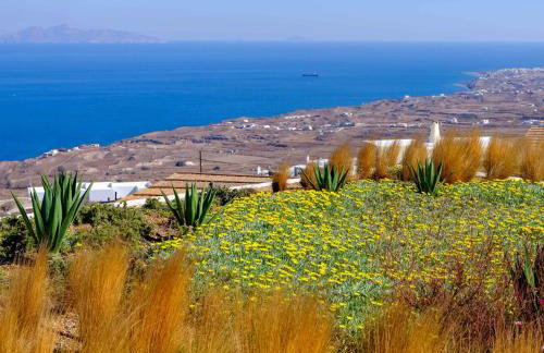 Secret Path Luxury Villas - Foto 80