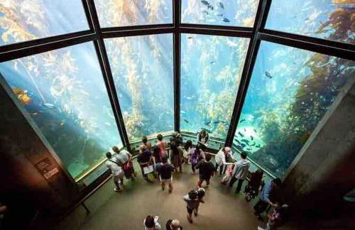 Family Friendly Home Near Monterey - Foto 44