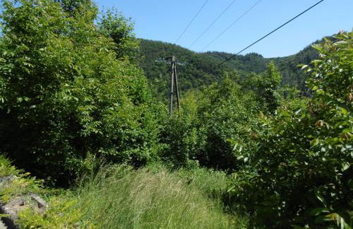 Ferienwohnung Schäfer - Foto 7