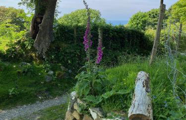 Polly's Barn, Penrhyn - Foto 17