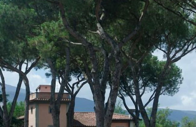 Tenuta Terre dei Latini - Foto 40