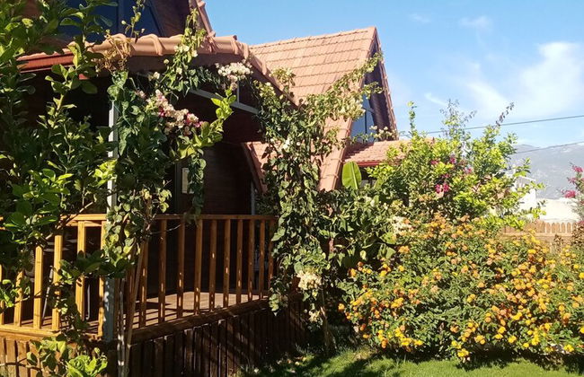 Riviera Bungalow Evleri Demre - Photo 53