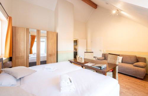 SCHUSTERjunge Aparthotel I Zentral I Studio Apartments I Küche & Bad I Parkplatz - Foto 42