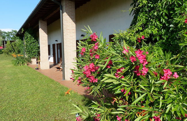 Arriga Alta - Foto 26