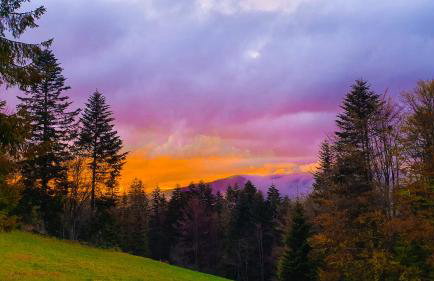 Hytta Eliaszówka - Foto 28