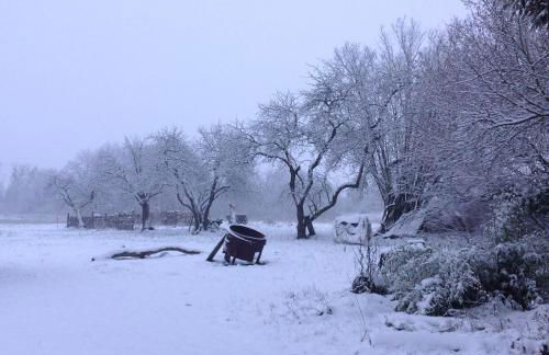 Auszeithaus Brigittenhof - Photo 17