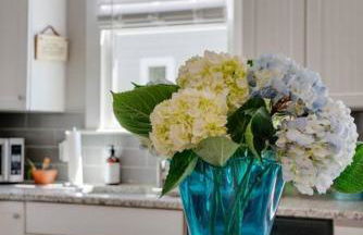 Charming Nashville Bungalow - Foto 19