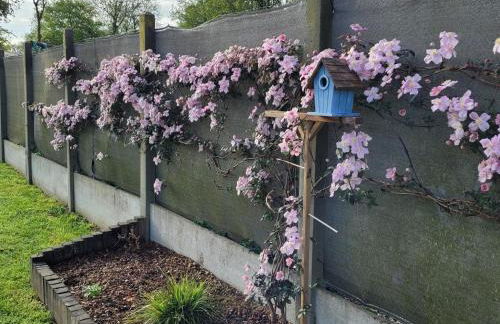 Au petit nid - Foto 32