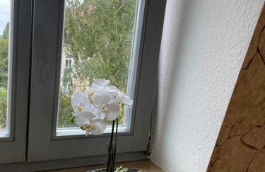 Apartmenthaus Weimarblick - gratis Stellplätze - WLAN - SmartTV - zentral in Weimar - Foto 17