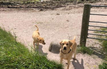 Woodend Cottage - Foto 37