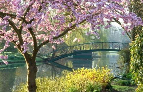 Cosy Rural Retreat Perfect for Families and Pets - Foto 24