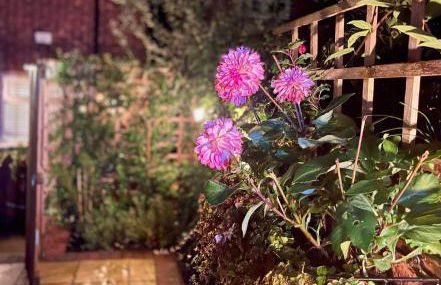 Cosy Cottage Central Bawtry - 2 Bedroom - High End Furnishings - Foto 42