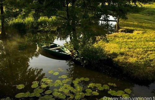Séjour nature au cœur du Parc de la Brenne: gîte 4 chambres, jardin et terrasse, proche de Rosnay - FR-1-591-141 - Foto 15