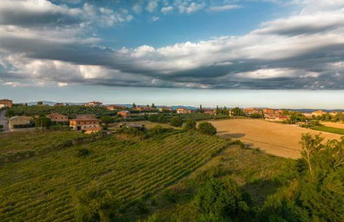 Montepulciano - La Casetta del Pian delle Noci - Foto 59