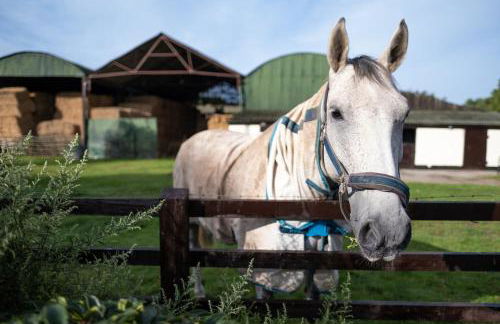 Marsh Farm - Photo 9