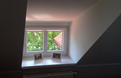 U Aptekarzy - Foto 64