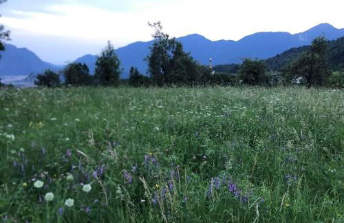 Casa Gugjet Cuore Carnico - appartamento Zoncolan - giardino - no scale - parcheggio e 4 zampe gratis - Foto 29