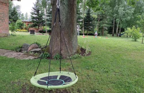 Agroturystyka Pod Dębem - Foto 16