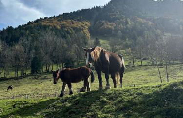 Charmant T2bis, belle vue centre - Foto 17