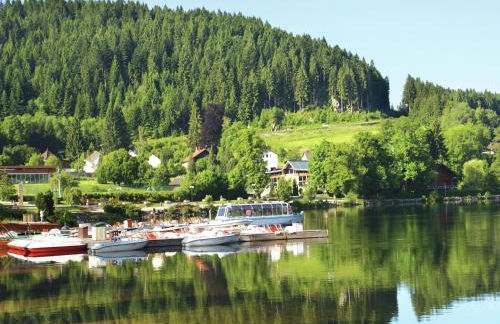 Holiday Home in Vosges with Garden and BBQ - Foto 33