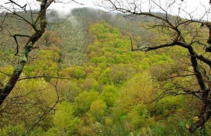 Apartamento Dúplex Golf Rioja Alta - Foto 22