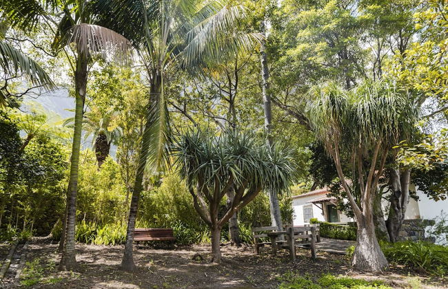 In Laurissilva Forest, Casa do Lanço -carvalho - Foto 61
