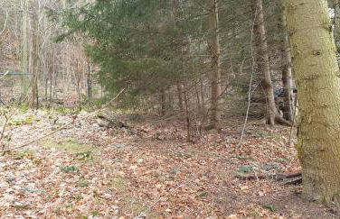 Waldhaus Hempe - Photo 9