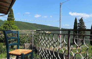 Agriturismo Nonno Dante - Casa Leccino - Foto 3