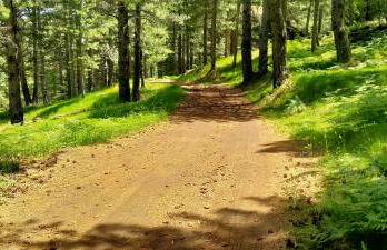 Casa Montegrappa - tra Etna e Mare Parcheggio gratuito - Foto 16