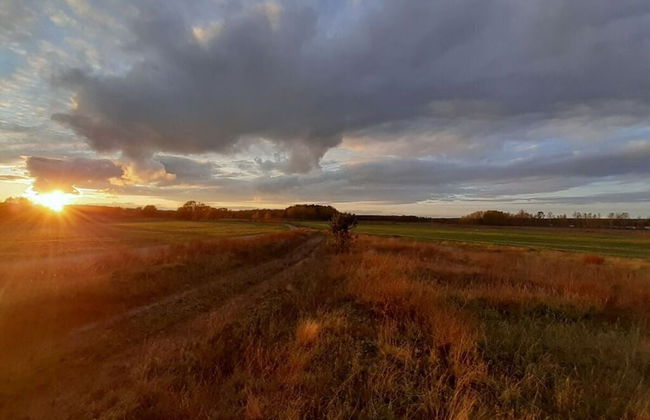 Holiday Home Landlust - Photo 20