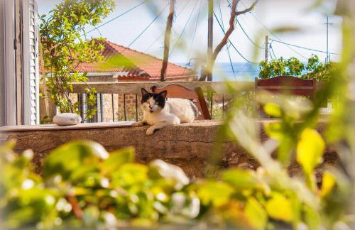 Lucy's Home - Foto 1