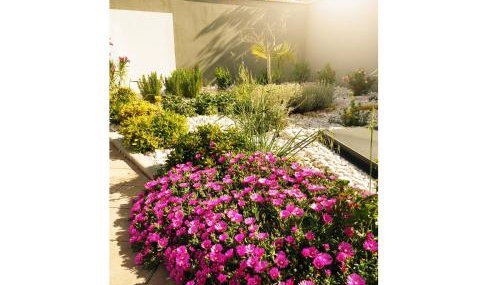 villa flores - Foto 5, Garden, Garden view