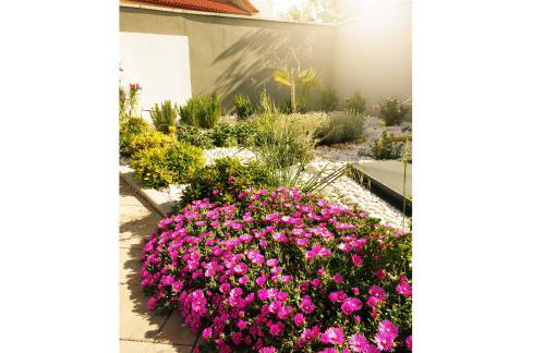 villa flores - Foto 5