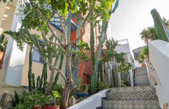 Sissi View - Photo 31