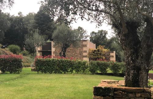 Bosque da Harmonia - Foto 51