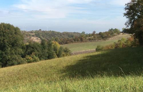 Ferienhaus "Am Saarbach" - Foto 19