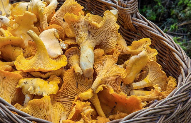 4 Person Holiday Home in Torpshammar-by Traum - Photo 12