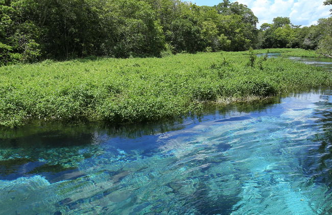 Giro in barca a Barra do Sucuri con snorkeling - Foto 1