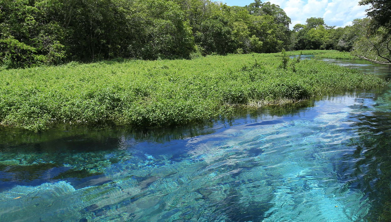 Paseo en barco por Barra do Sucuri con snorkel