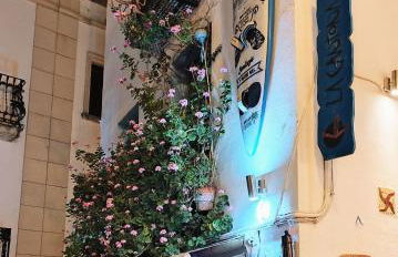 PERLA BLANCA I Peñíscola - Foto 39