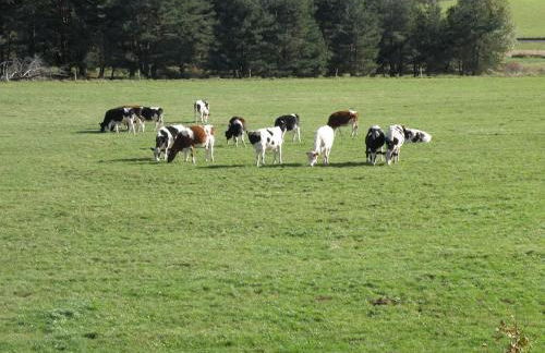 PETITE MAISON AU CALME AVEC VUE MAGNIFIQUE ! - Foto 34