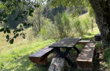 Chalet 22 Bernau - Foto 42