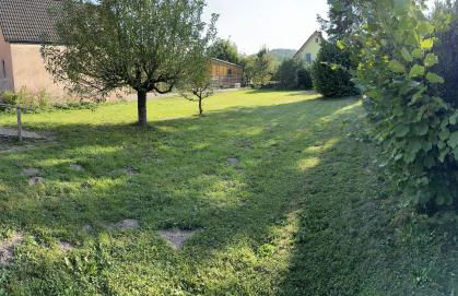 Ferienhaus Ailsbach Ruhig, eingezäunt, hundefreundlich nahe A3 - Foto 38