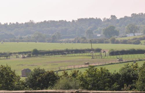 Copper Coin - Foto 39