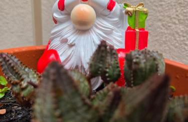 Appartamento Teodorico Ravenna - Foto 28