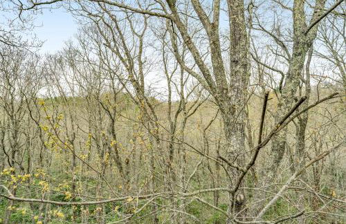 Yonahlossee Mountain Magic - Foto 38