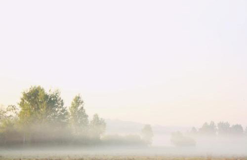 Pod Modrzewiem - Foto 36