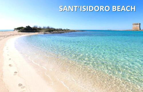 DELFINO - Ampio Appartamento a 40 metri dalla Spiaggia - Foto 39