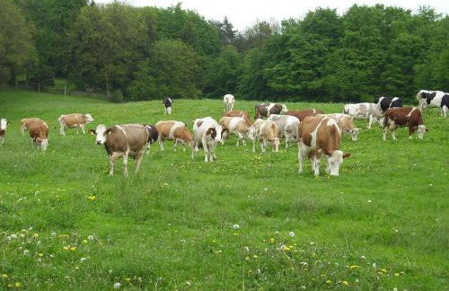 Holiday Home Wollspeicher - Foto 45