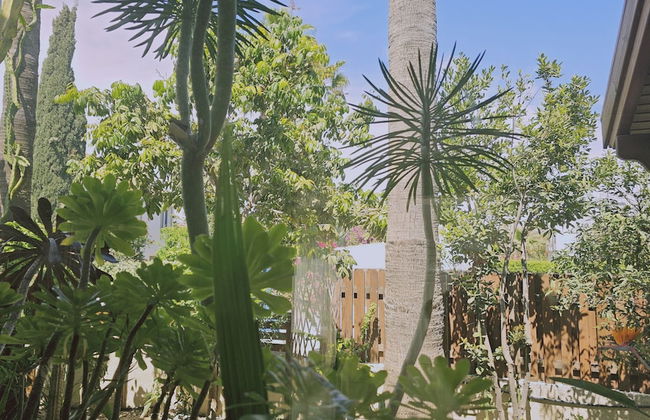 122 VOR - Stay Cactus House - Foto 57